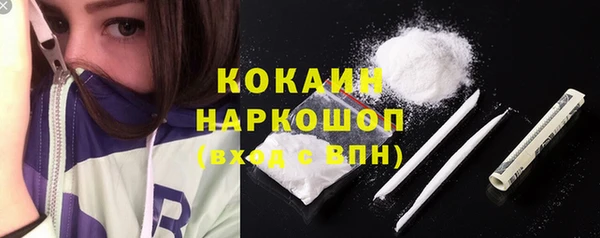 стаф Осинники