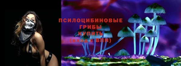 spice Аркадак