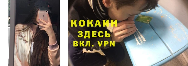 стаф Осинники