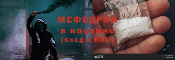 стаф Осинники