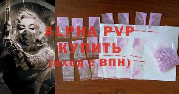 spice Аркадак