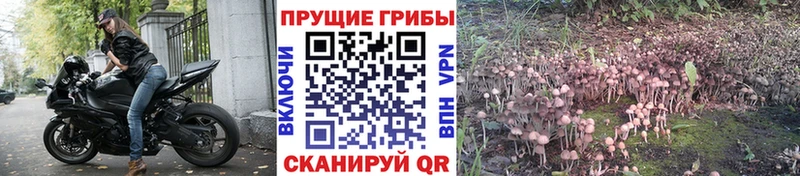 Псилоцибиновые грибы Magic Shrooms Купить Рязань